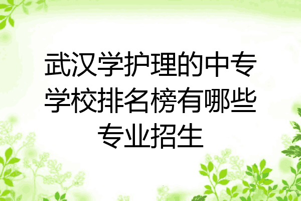 武汉学护理的中专学校排名榜有哪些专业招生