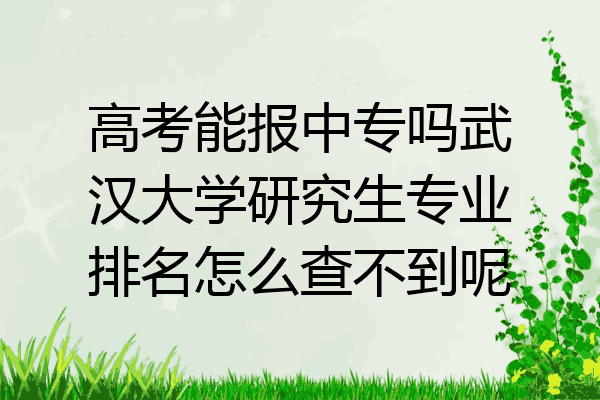 高考能报中专吗武汉大学研究生专业排名怎么查不到呢
