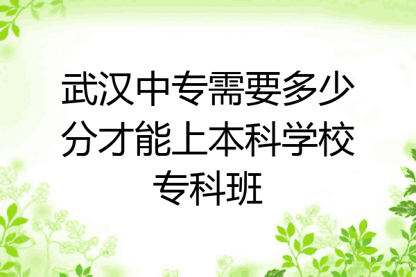 武汉中专需要多少分才能上本科学校专科班