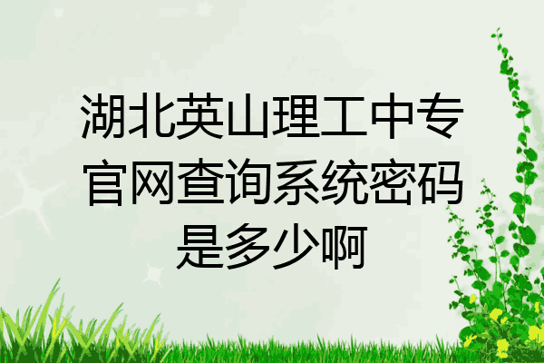 湖北英山理工中专官网查询系统密码是多少啊