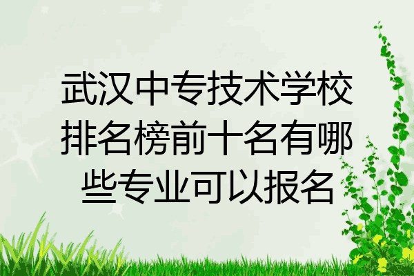 武汉中专技术学校排名榜前十名有哪些专业可以报名