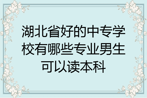 湖北省好的中专学校有哪些专业男生可以读本科