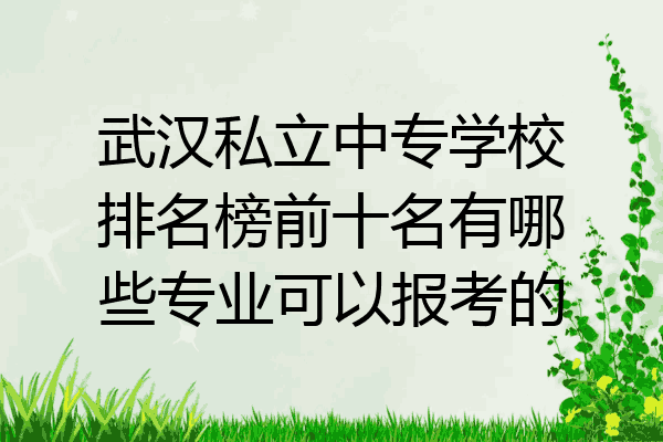 武汉私立中专学校排名榜前十名有哪些专业可以报考的