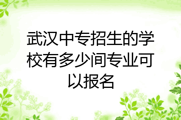 武汉中专招生的学校有多少间专业可以报名