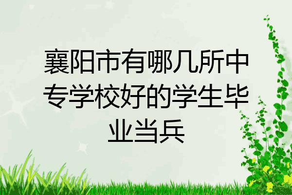 襄阳市有哪几所中专学校好的学生毕业当兵