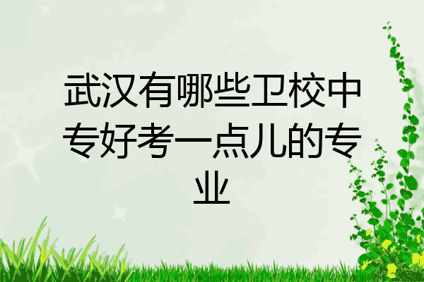 武汉有哪些卫校中专好考一点儿的专业