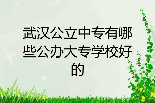 武汉公立中专有哪些公办大专学校好的