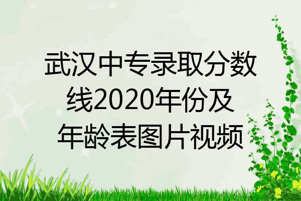 武汉中专录取分数线2020年份及年龄表图片视频