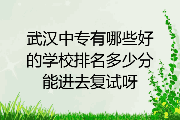 武汉中专有哪些好的学校排名多少分能进去复试呀