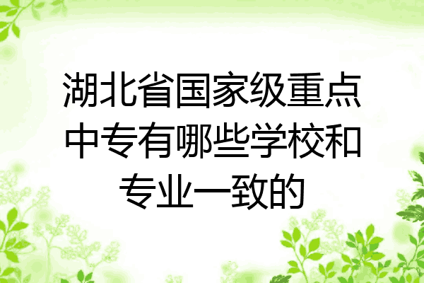 湖北省国家级重点中专有哪些学校和专业一致的