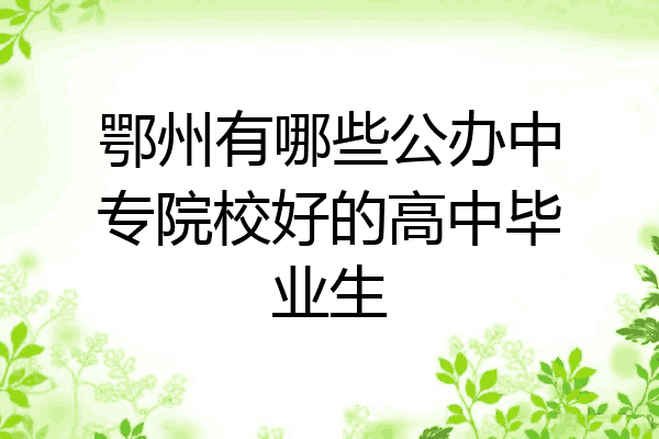 鄂州有哪些公办中专院校好的高中毕业生