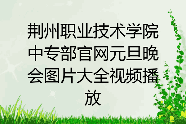 荆州职业技术学院中专部官网元旦晚会图片大全视频播放