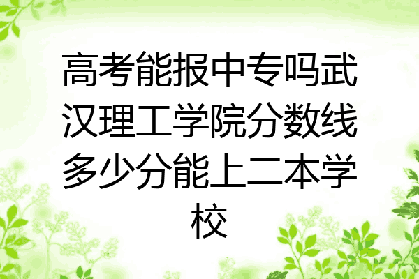 高考能报中专吗武汉理工学院分数线多少分能上二本学校