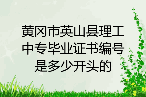 黄冈市英山县理工中专毕业证书编号是多少开头的