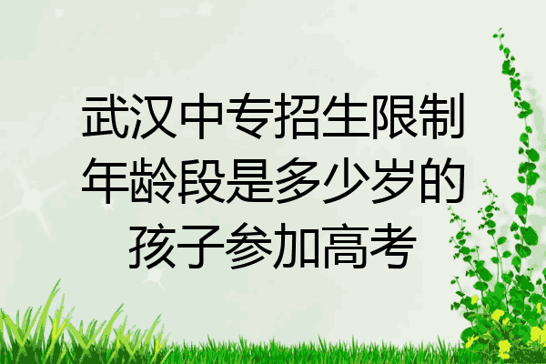 武汉中专招生限制年龄段是多少岁的孩子参加高考