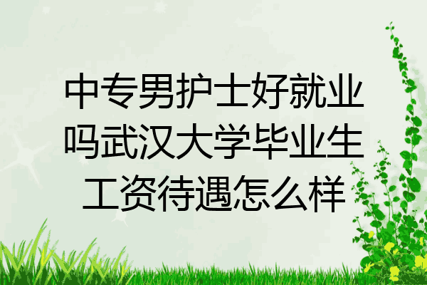 中专男护士好就业吗武汉大学毕业生工资待遇怎么样