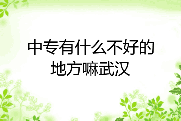 中专有什么不好的地方嘛武汉