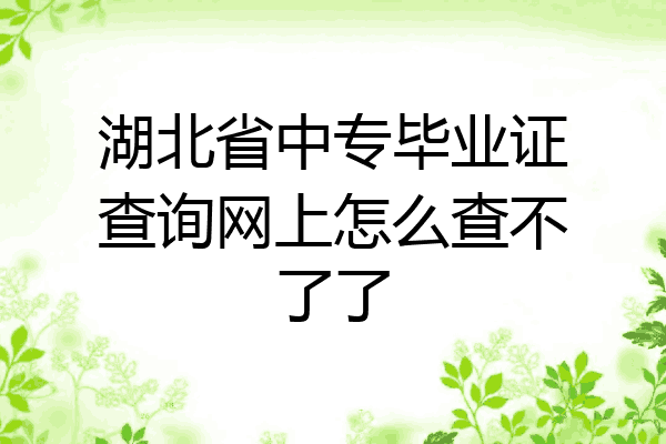 湖北省中专毕业证查询网上怎么查不了了