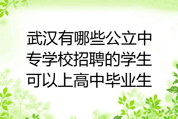 武汉有哪些公立中专学校招聘的学生可以上高中毕业生