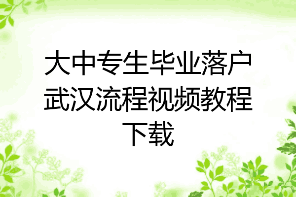 大中专生毕业落户武汉流程视频教程下载