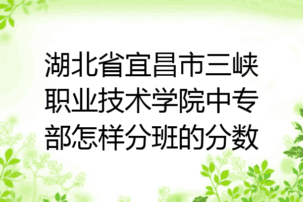 湖北省宜昌市三峡职业技术学院中专部怎样分班的分数