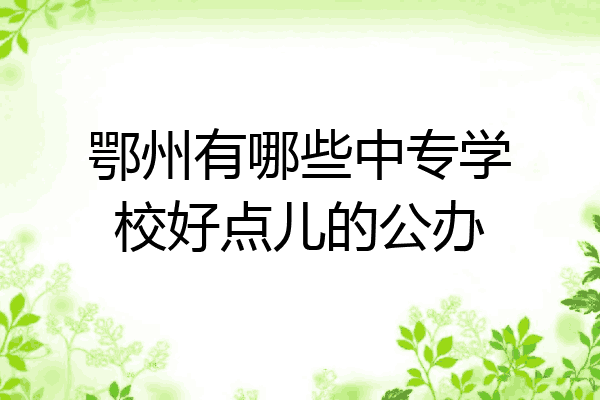 鄂州有哪些中专学校好点儿的公办