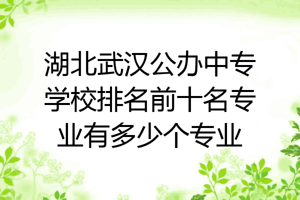 湖北武汉公办中专学校排名前十名专业有多少个专业