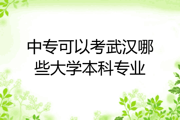 中专可以考武汉哪些大学本科专业
