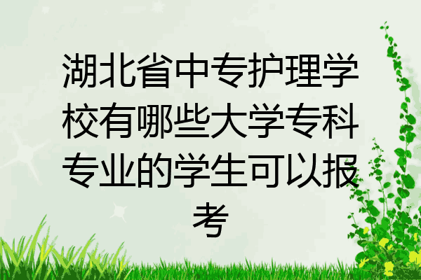 湖北省中专护理学校有哪些大学专科专业的学生可以报考