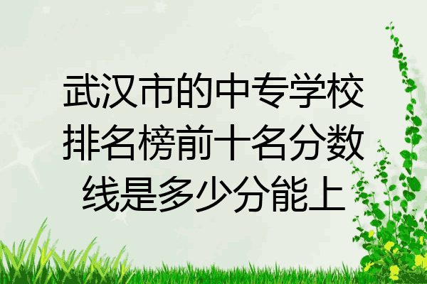 武汉市的中专学校排名榜前十名分数线是多少分能上