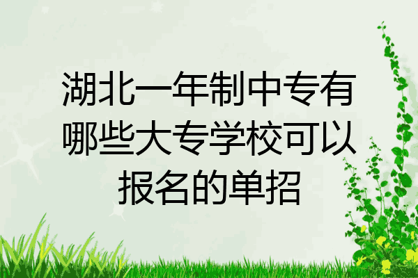 湖北一年制中专有哪些大专学校可以报名的单招