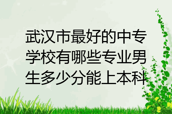 武汉市最好的中专学校有哪些专业男生多少分能上本科