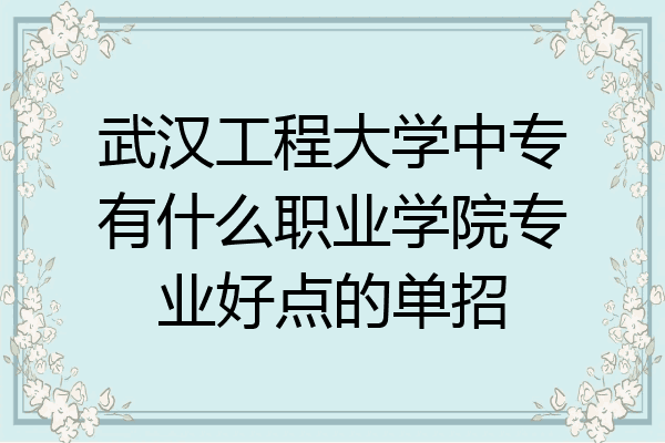 武汉工程大学中专有什么职业学院专业好点的单招