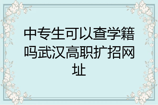 中专生可以查学籍吗武汉高职扩招网址