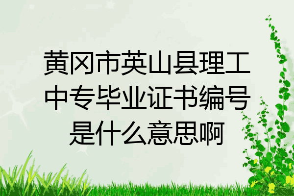 黄冈市英山县理工中专毕业证书编号是什么意思啊