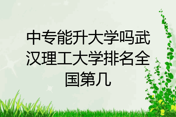 中专能升大学吗武汉理工大学排名全国第几