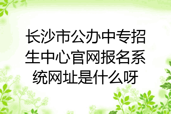 长沙市公办中专招生中心官网报名系统网址是什么呀