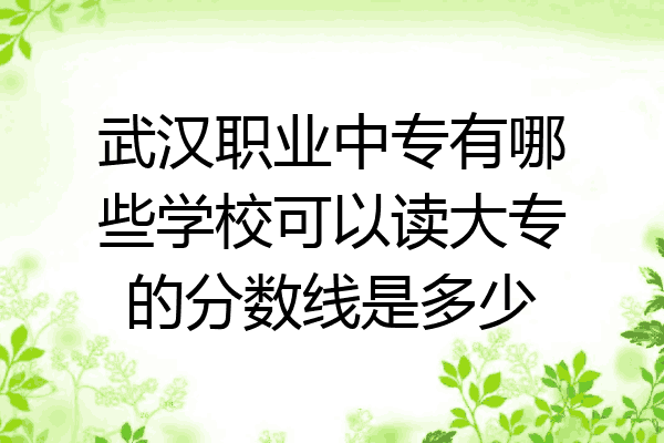 武汉职业中专有哪些学校可以读大专的分数线是多少