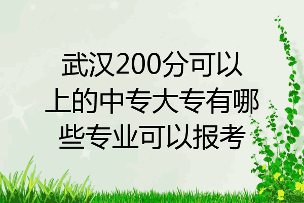 武汉200分可以上的中专大专有哪些专业可以报考
