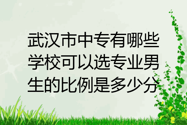 武汉市中专有哪些学校可以选专业男生的比例是多少分