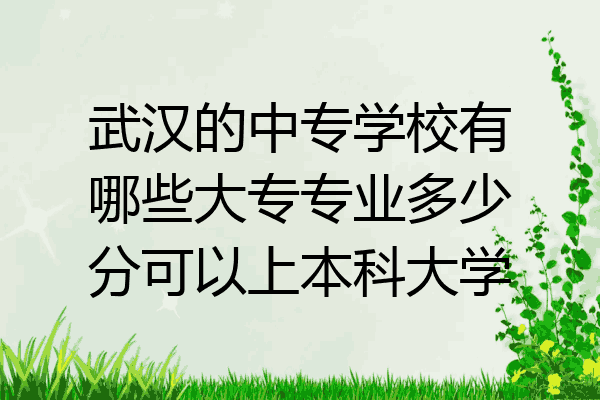 武汉的中专学校有哪些大专专业多少分可以上本科大学