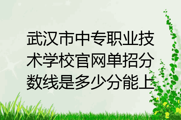 武汉市中专职业技术学校官网单招分数线是多少分能上