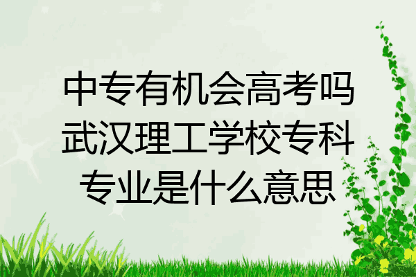 中专有机会高考吗武汉理工学校专科专业是什么意思