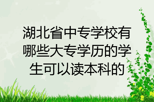 湖北省中专学校有哪些大专学历的学生可以读本科的