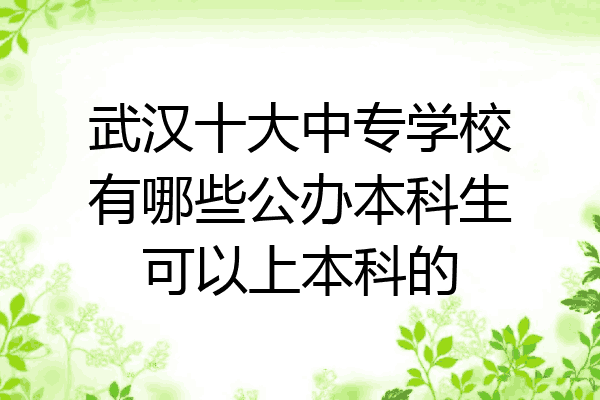 武汉十大中专学校有哪些公办本科生可以上本科的