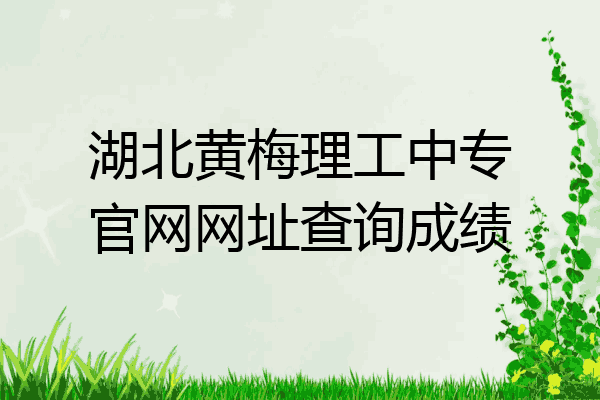 湖北黄梅理工中专官网网址查询成绩