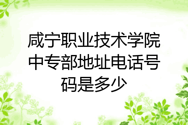 咸宁职业技术学院中专部地址电话号码是多少