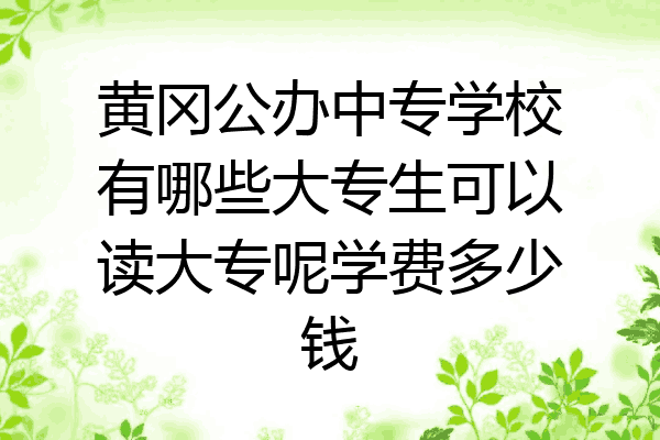 黄冈公办中专学校有哪些大专生可以读大专呢学费多少钱