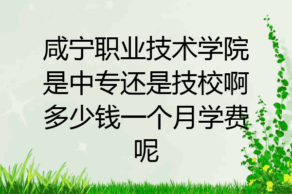 咸宁职业技术学院是中专还是技校啊多少钱一个月学费呢