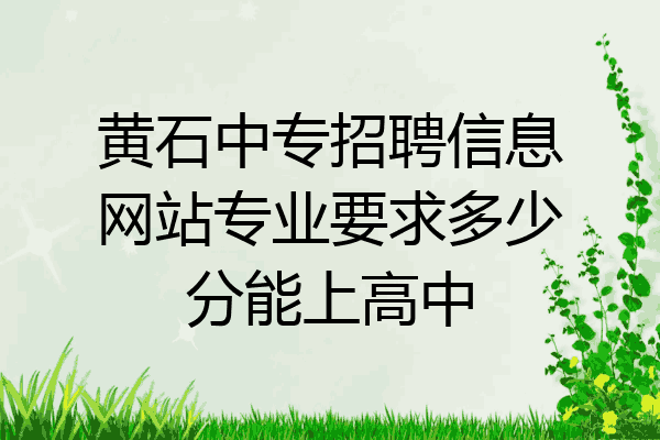 黄石中专招聘信息网站专业要求多少分能上高中